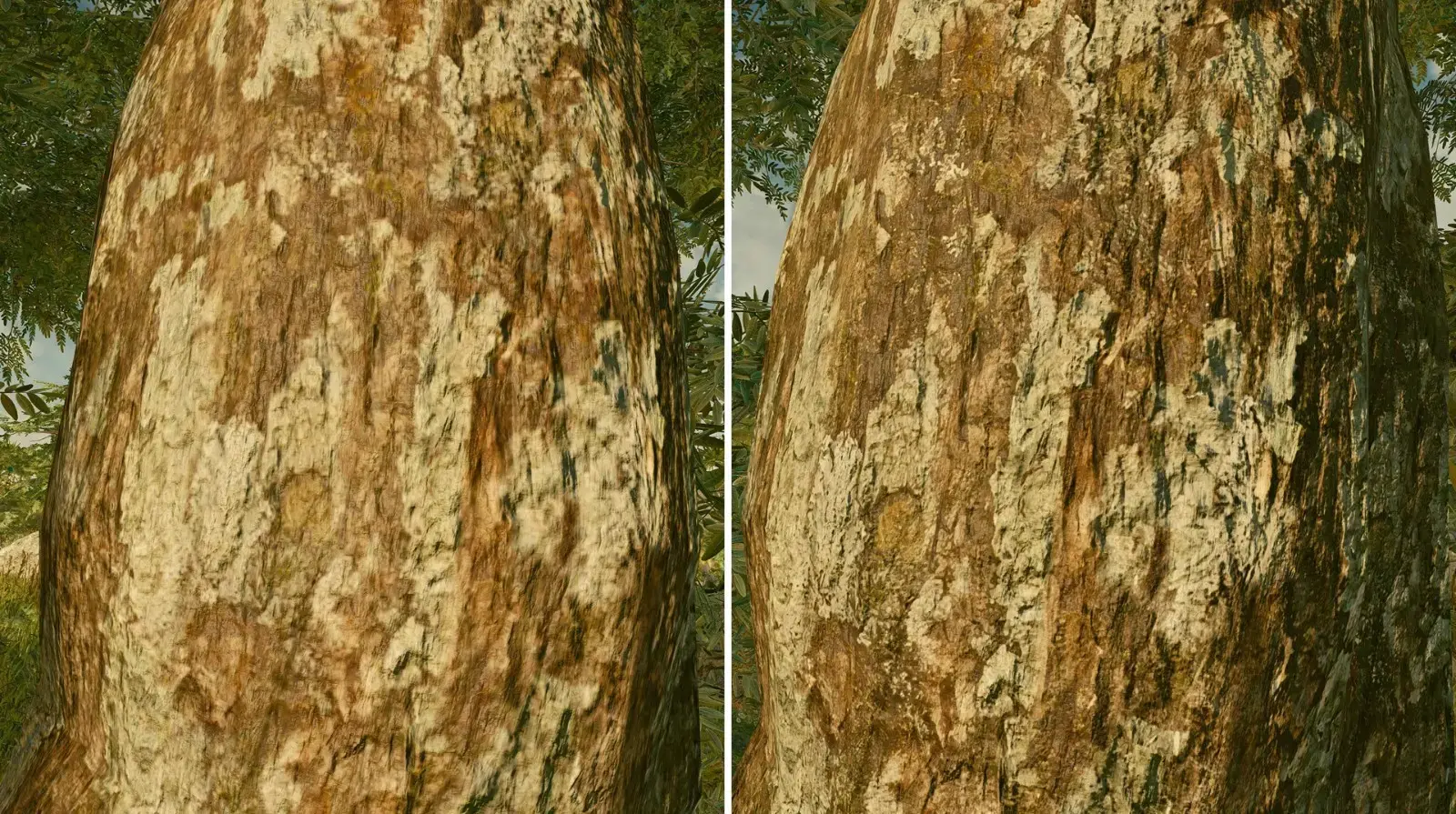 《星空》4K材质包MOD发布 提升风景与植被品质